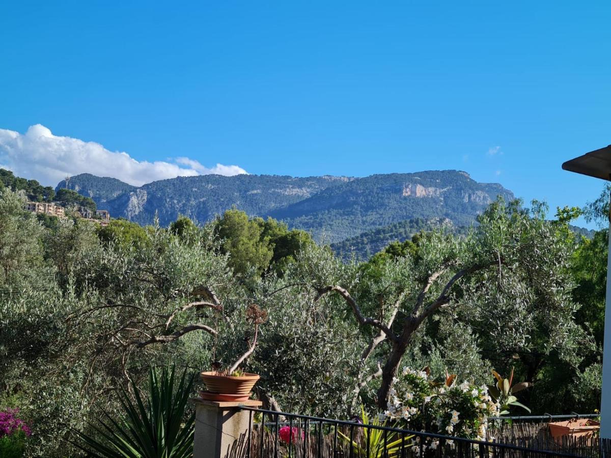 Casa Sunny Villa Puerto de Sóller Eksteriør bilde